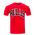 PLAYERA NBA CHICAGO BULLS CLASSIC CHENILLE