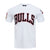 PLAYERA NBA CHICAGO BULLS CLASSIC CHENILLE