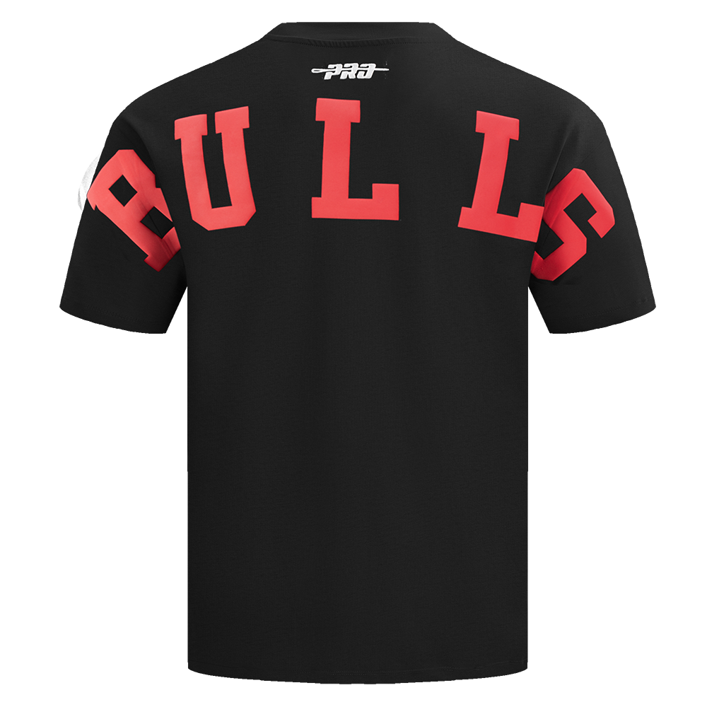 PLAYERA NBA CHICAGO BULLS WINGSPAN