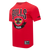 PLAYERA NBA CHICAGO BULLS BORN FOR SPORT