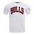 PLAYERA NBA CHICAGO BULLS CLASSIC CHENILLE