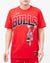 PLAYERA NBA CHICAGO BULLS HOME TOWN