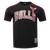 PLAYERA NBA CHICAGO BULLS MESH