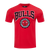PLAYERA NBA CHICAGO BULLS CREST EMBLEM