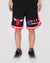 SHORTS DE BASQUETBOL NBA CHICAGO BULLS COUNTRIES
