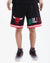 SHORTS DE BASQUETBOL NBA CHICAGO BULLS COUNTRIES