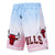 SHORTS DE BASKETBALL NBA CHICAGO BULLS OMBRE