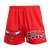SHORTS DE MALLA NBA CHICAGO BULLS MESH