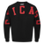 SUDADERA DE CUELLO REDONDO NBA CHICAGO BULLS WINGSPAN