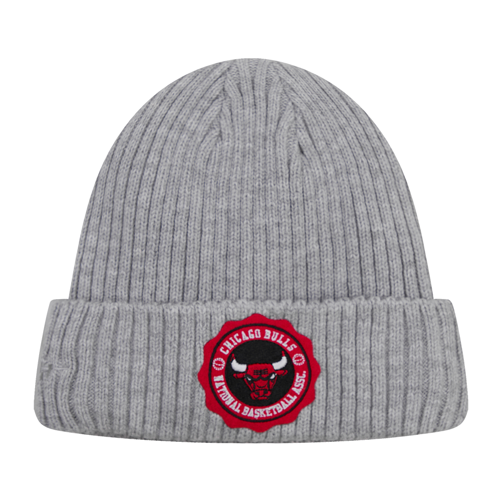 GORRO NBA CHICAGO BULLS CREST EMBLEM