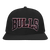 GORRA SNAPBACK NBA CHICAGO BULLS CREST EMBLEM