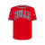 PLAYERA NBA CHICAGO BULLS CLASSIC CHENILLE PARA NIÑO JUNIOR