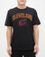 PLAYERA NBA CLEVELAND CAVALIERS CLASSIC BRISTLE