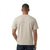 BLL1515815-TAU-MODEL-2