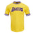 PLAYERA NBA LOS ANGELES LAKERS CLASSIC CHENILLE