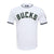 PLAYERA NBA MILWAUKEE BUCKS CLASSIC CHENILLE