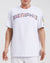 PLAYERA NBA MEMPHIS GRIZZLIES CITY SCAPE