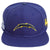 GORRA STRAPBACK NFL LOS ANGELES CHARGERS BASIC TEAM LOGO