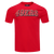 PLAYERA NFL SAN FRANCISCO 49ERS AOP