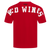 PLAYERA NHL DETROIT RED WINGS WINGSPAN