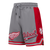 SHORTS DE BASKETBALL NHL DETROIT RED WINGS SCRIPT TAIL