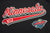 SUDADERA CON GORRO NHL MINNESOTA WILD SCRIPT TAIL
