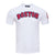 MANGA CORTA MLB BOSTON RED SOX CLASSIC CHENILLE