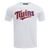 MANGA CORTA MLB MINNESOTA TWINS CLASSIC CHENILLE