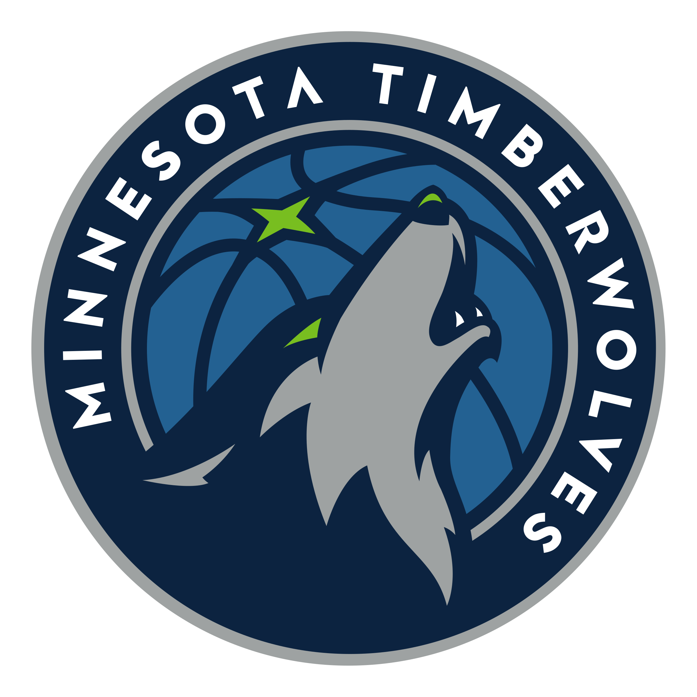 Minnesota Timberwolves